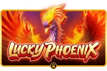 မြန်မာ ကစားသမား မိုဘိုင်း
APP မှ Live Casino တိုက်ရိုက်ကာစီနို ဂိမ်းကစားနေသောမြင်ကွင်း